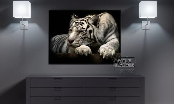 cuadros de tigres
